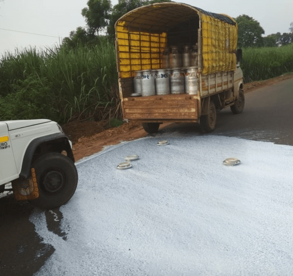 马哈拉施特拉邦|印度农民发起“浪费牛奶”运动要求涨价，运奶车直接沿公路喷洒