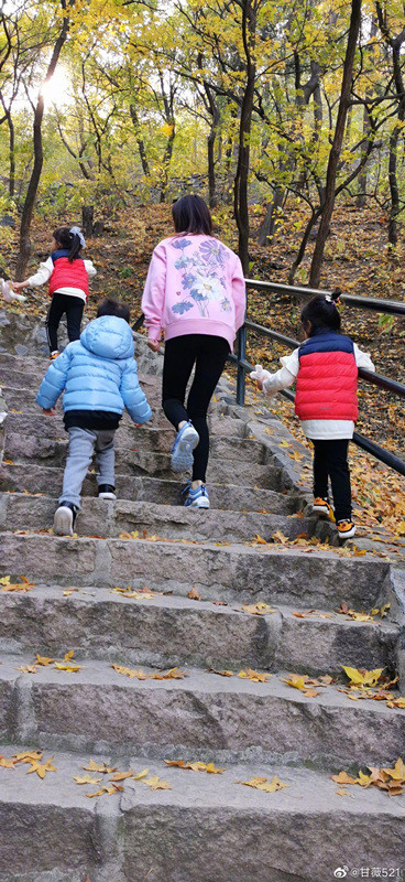 贾跃亭|贾跃亭前妻甘薇拍卖北京房产，起拍价高达1500万，引近万人围观