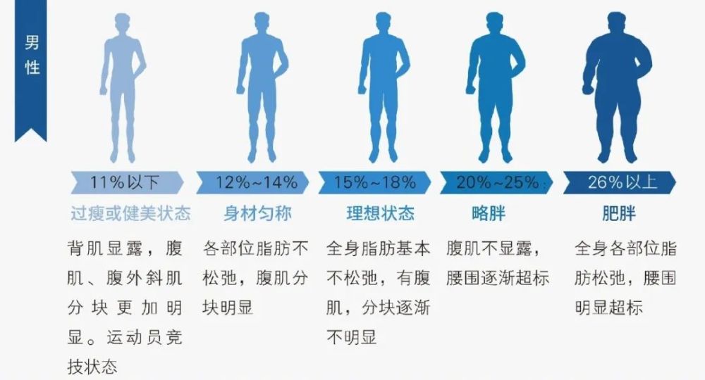 最诚实的胖瘦指标 腾讯新闻