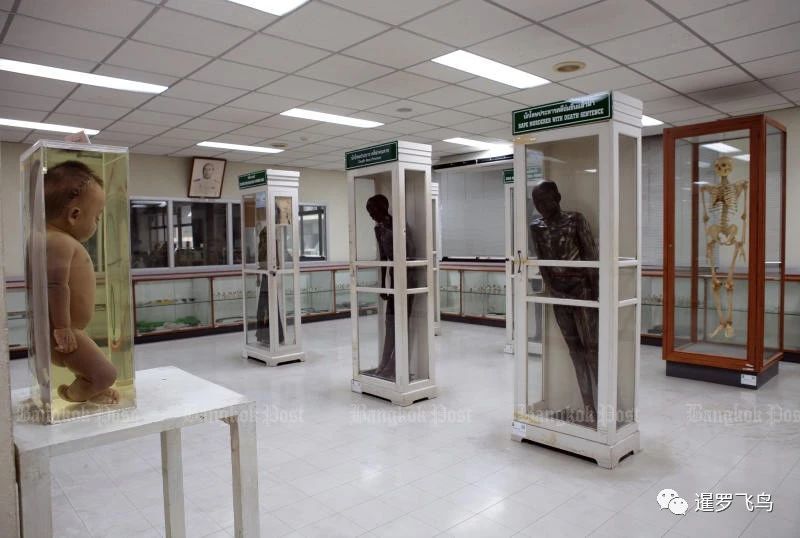 博物馆|华人连环食人魔，被泰国曝尸博物馆60年，现将入寺庙火化超度