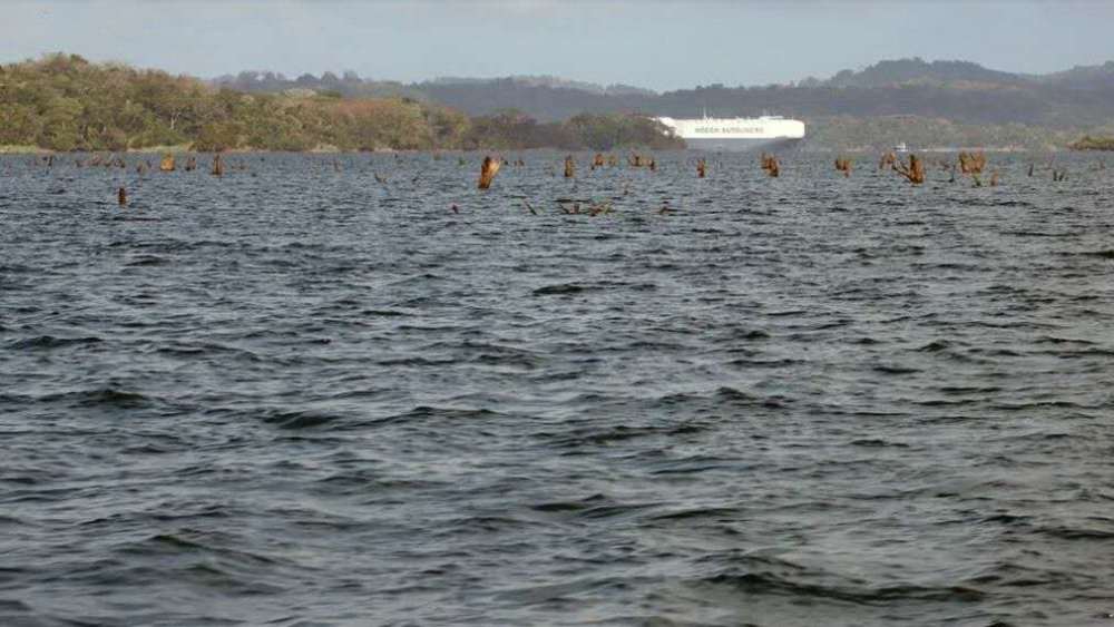 防空洞|湖边防空洞里出现4女3男的尸体，均被射成筛子，血肉模糊