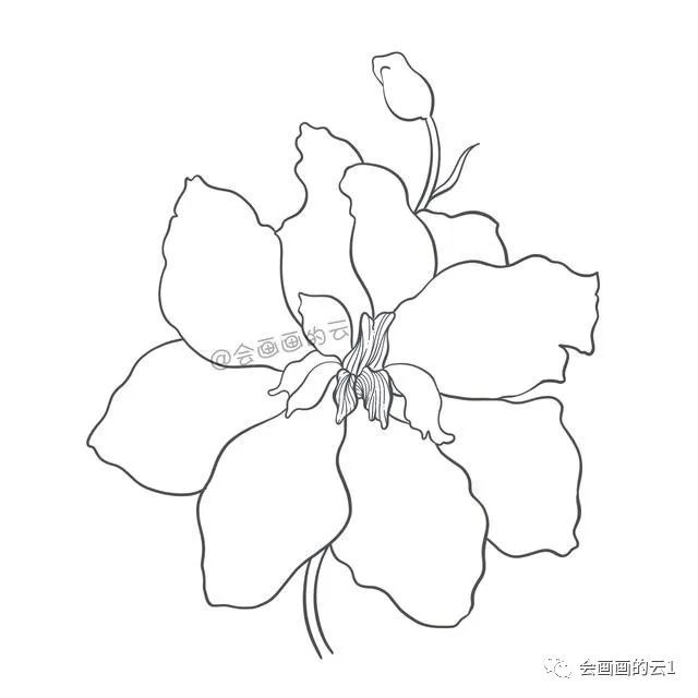 简笔画|一支笔一朵花，教你零基础如何画简笔画