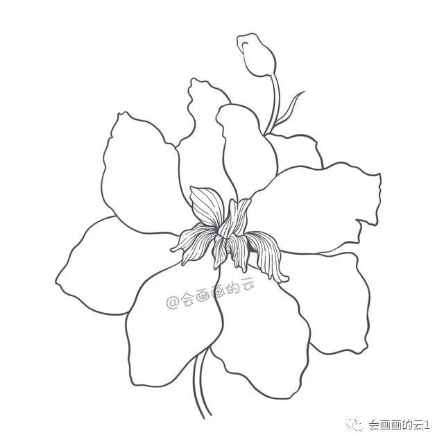 简笔画|一支笔一朵花，教你零基础如何画简笔画