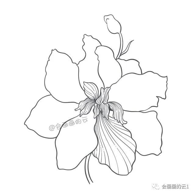 简笔画|一支笔一朵花，教你零基础如何画简笔画