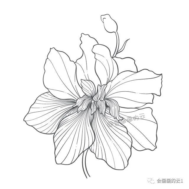 简笔画|一支笔一朵花，教你零基础如何画简笔画