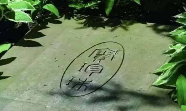 赛珍珠|她是美国人，却将自己视为中国人，写了本中国农民的小说轰动世界