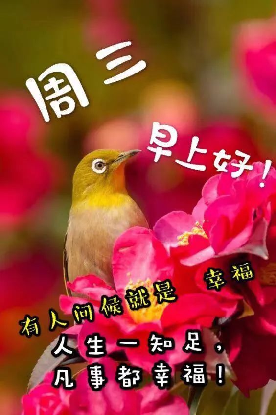 2021牛年6月23日夏季微信群发周三快乐图片问候祝福语星期三祝福漂亮