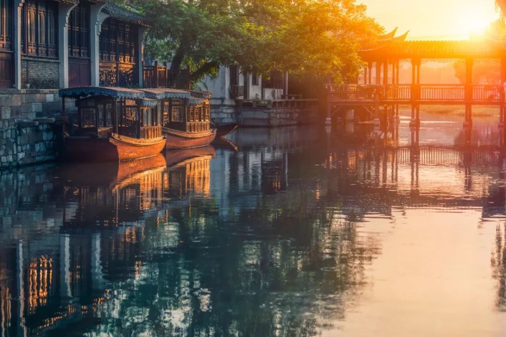 宋英杰|大暑：轻罗小扇扑流萤