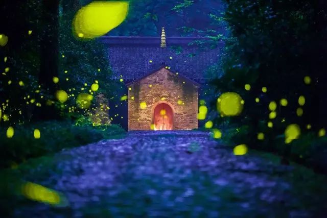 宋英杰|大暑：轻罗小扇扑流萤