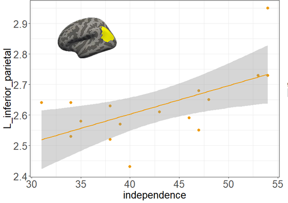 脑成像|脑科学日报：运动员脑成像研究发现与意志品质相关的大脑结构组织