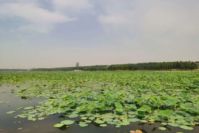 厉害啦齐河又一大型公园即将建成快来抢先看