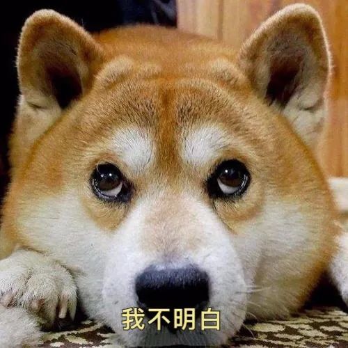 郭碧婷|16岁不吃冰的郭碧婷终于怀孕，婆婆可算如愿，这部豪门大秀要到尾声了吗？