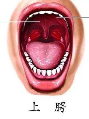 郭碧婷|16岁不吃冰的郭碧婷终于怀孕，婆婆可算如愿，这部豪门大秀要到尾声了吗？