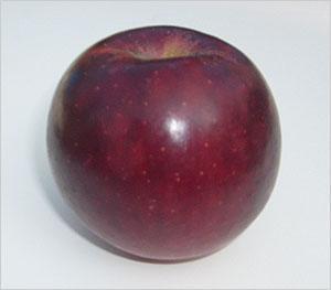 红富士苹果|200多年前，美国培育出了一种“黑苹果”，为什么我国至今没敢引进？