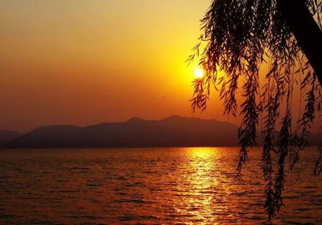 西游记|烟雨夜读 一别乡关音信杳