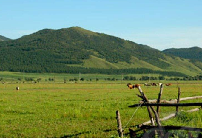 八思巴文|兴安盟发现索伦金牌，上有23个不认识的八思巴文，竟是这个意思