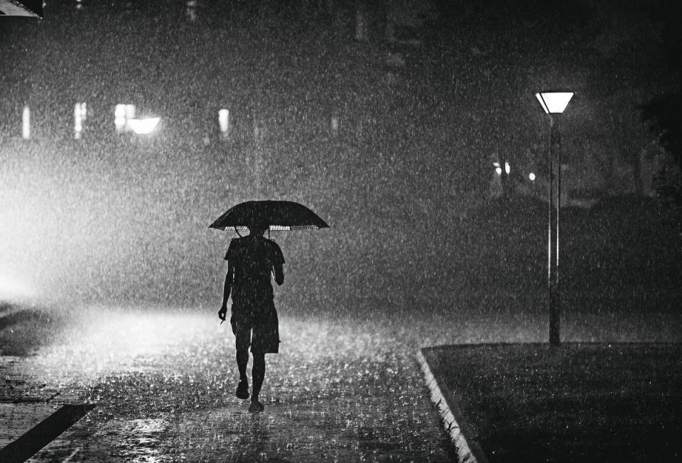 诗集|人到中年怎么活？东北爷们诗集，写出公务员的寂寞苍凉，推荐细读