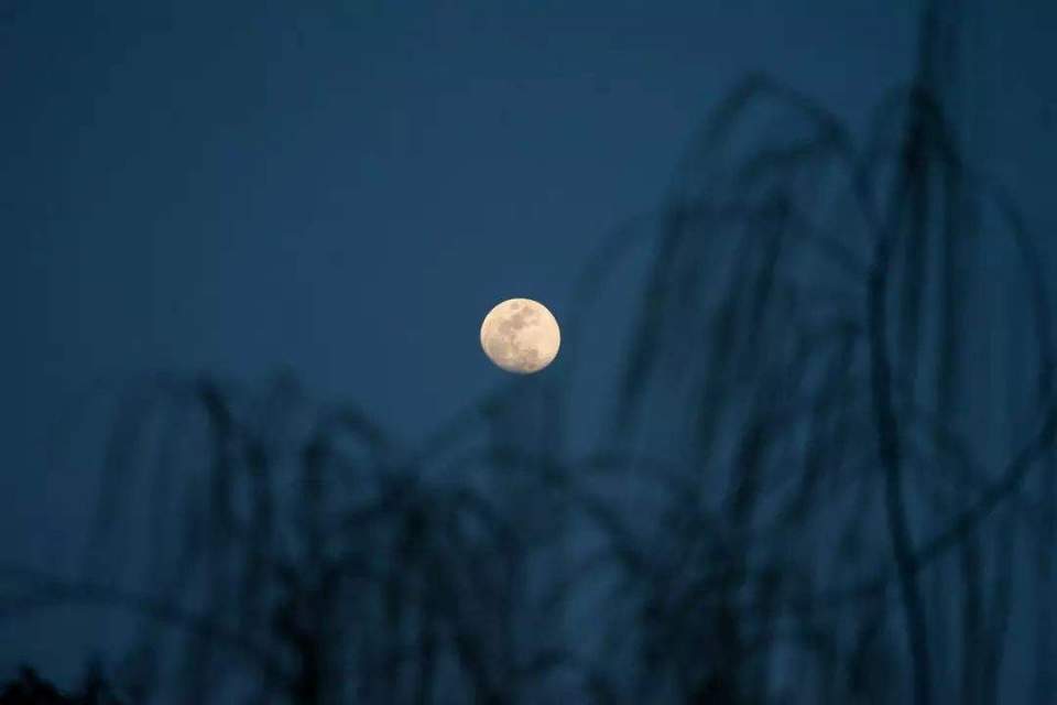 诗集|人到中年怎么活？东北爷们诗集，写出公务员的寂寞苍凉，推荐细读