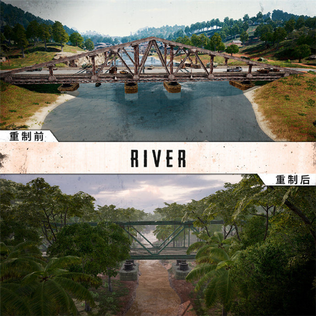 新旧雨林对比,5张图认识雨林2.