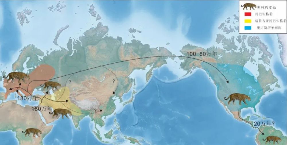 美洲豹|“美洲豹王朝”的200万年