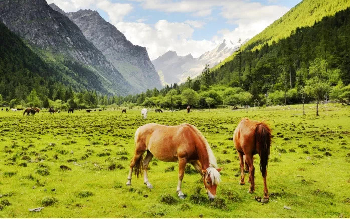 阿坝州这条毕业旅行线路，太完美了！