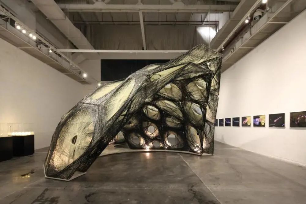 海浪来了历届上海双年展文献及作品展即将开幕免费的