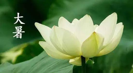 北京人|今儿大暑，北京人咱得这么吃！