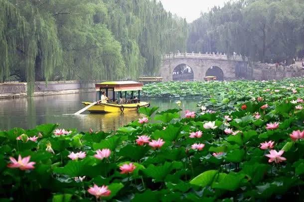 北京人|今儿大暑，北京人咱得这么吃！