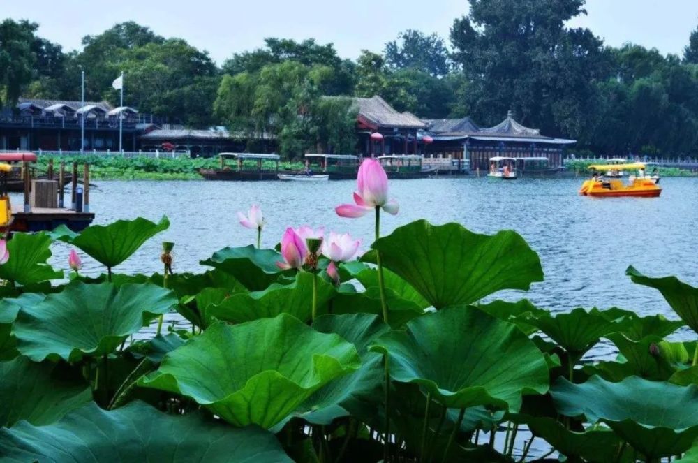 北京人|今儿大暑，北京人咱得这么吃！