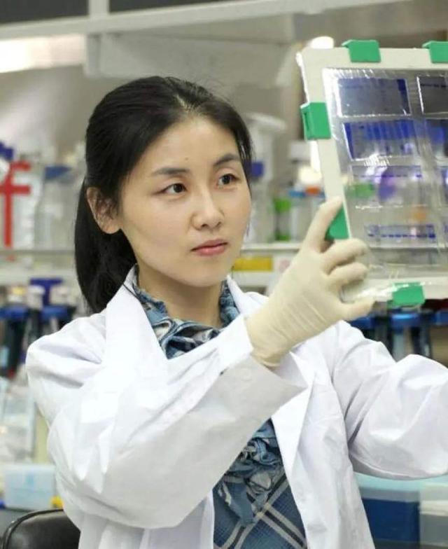 颜宁|高颜值女科学家颜宁，3年前落选中科院院士赴美国？如今立下大功