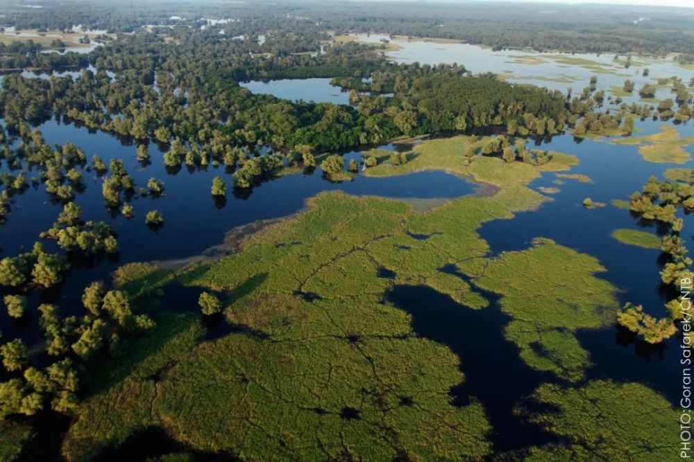 谁曾想这片金色平原曾是蔚蓝大海