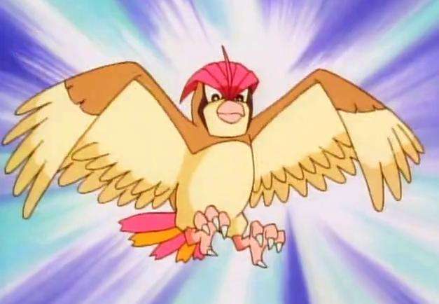 17:领地辽阔的空中猎手——比比鸟|波波|宝可梦|比比鸟|神奇宝贝图鉴