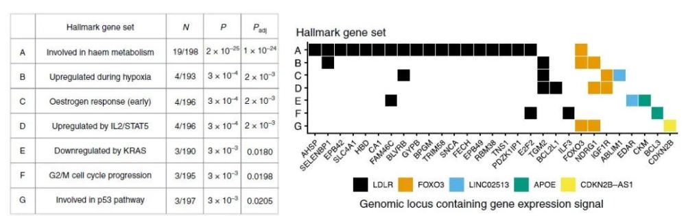 大脑|脑科学日报：性别对大脑的影响；疼痛定义40年来首次修订