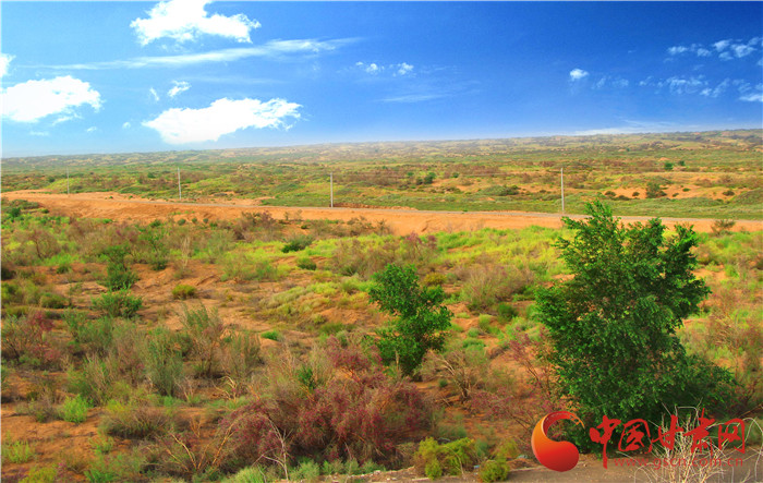 礼赞八步沙记者带你探访古浪县八步沙林场