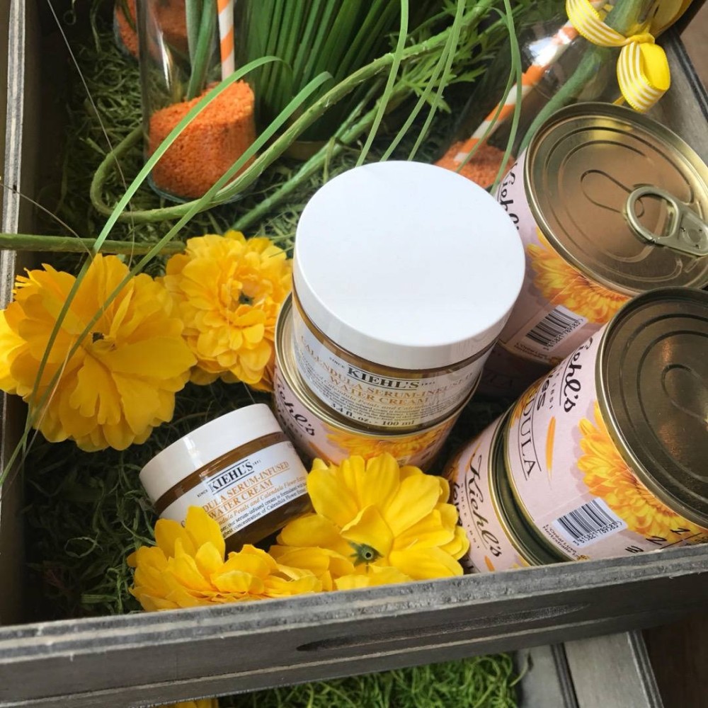 拒绝做天生油物教你摆脱油腻带来的困扰吧