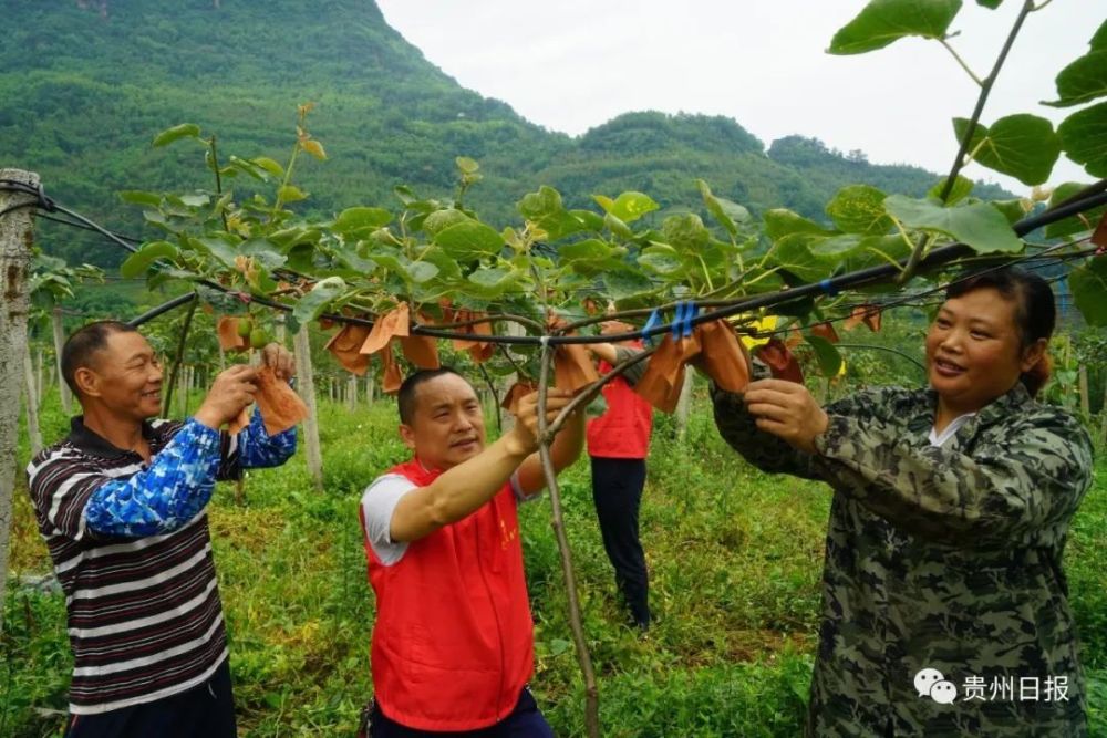 《贵州日报》刊登乾兴平署名文章:确保高质量 打好收官战_腾讯新闻