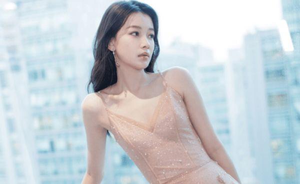 董子健|因为长得漂亮，而被经纪人介绍给自己儿子，今名气比影帝老公还大