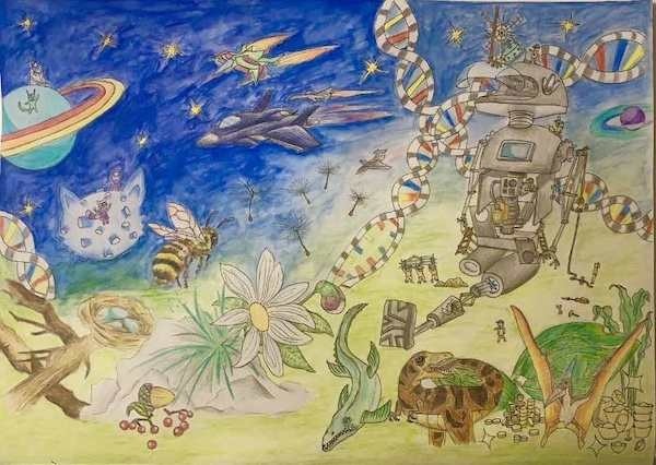 火星|比起获奖 播撒科学“种子”更重要