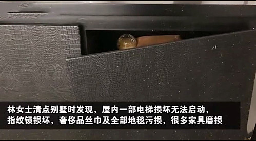 拍剧|别墅被侵占拍剧房主索赔300万 物业本是服务行业何时成了主人