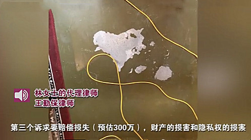 拍剧|别墅被侵占拍剧房主索赔300万 物业本是服务行业何时成了主人