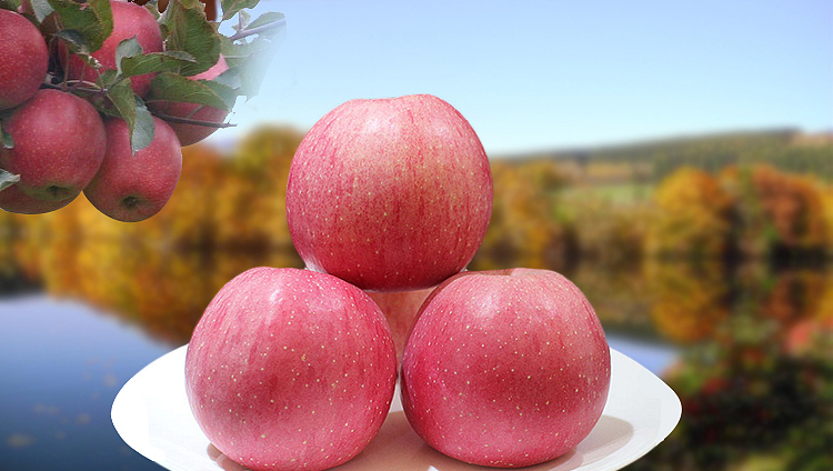 门头沟|果园里“结”出好日子！门头沟斋堂镇军响村走上生态致富路