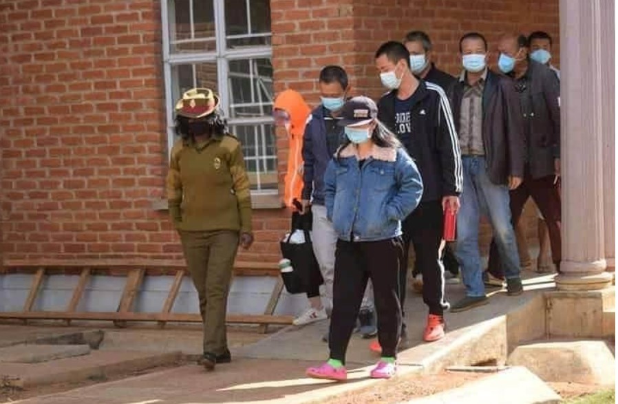 犀牛角|7名中国人在非洲走私犀牛角、象牙落网 被当地法院重判