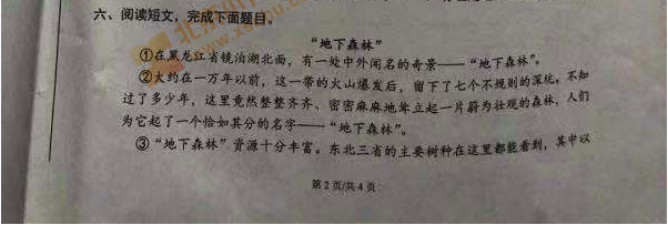 小学|小学上了两年，才发现真正的那道坎其实在这里