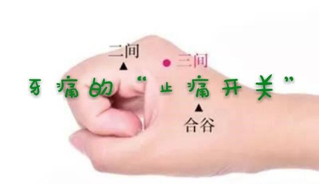 牙痛、头痛、肩痛、腹痛、腰痛,都有止痛