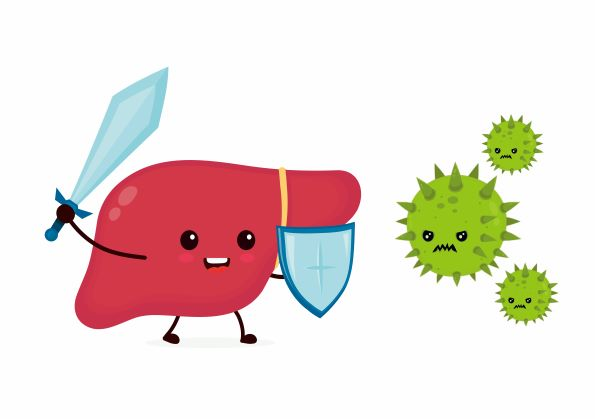 乙肝病毒携带者和乙肝病人有什么区别?医生揭秘3大真相!