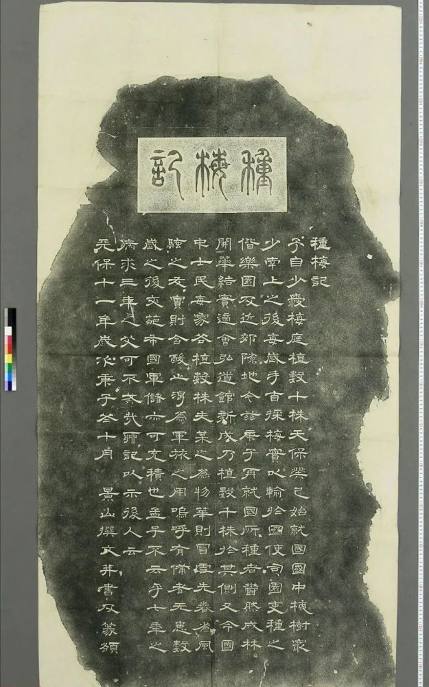 种梅记|日本景山隶书《种梅记》