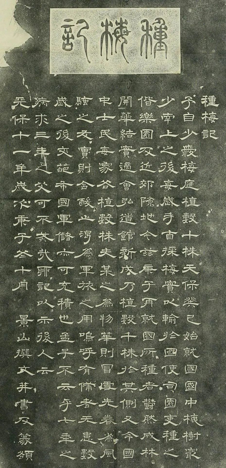 种梅记|日本景山隶书《种梅记》