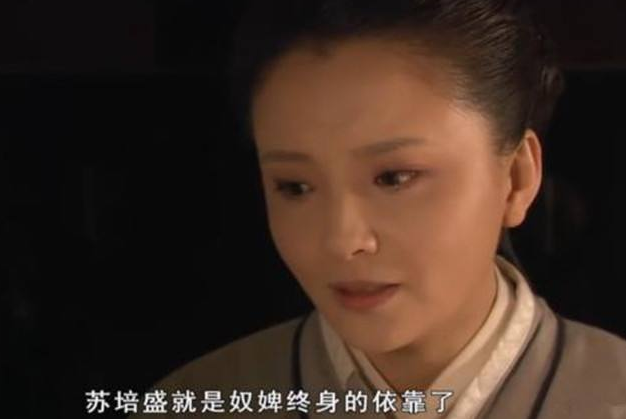 甄嬛传|《甄嬛传》四阿哥登基，甄嬛成为皇太后，为什么崔槿汐却不是那么高兴？