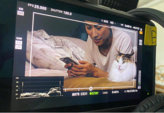 tvb花旦|50岁宣萱罕见近照，面色蜡黄眼袋明显，与同期TVB花旦颜值差太多