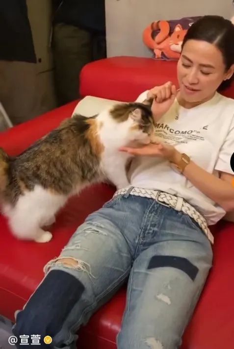 tvb花旦|50岁宣萱罕见近照，面色蜡黄眼袋明显，与同期TVB花旦颜值差太多